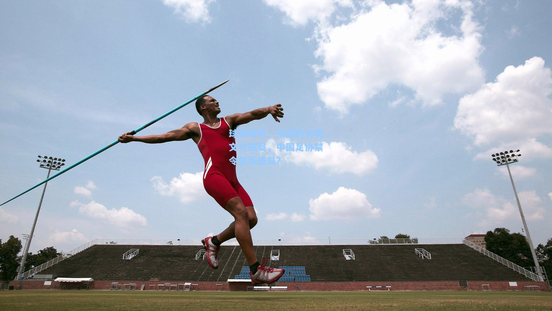 球场骂声,中超的另类文化困局,中国足协禁令能否破局?